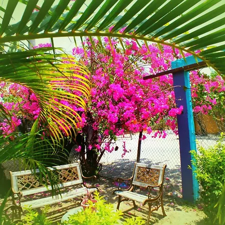 Acuarela Hostal-3